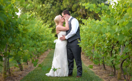 Gervasi Vineyard Wedding