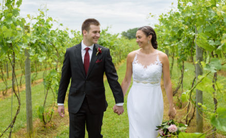 Vineyard wedding